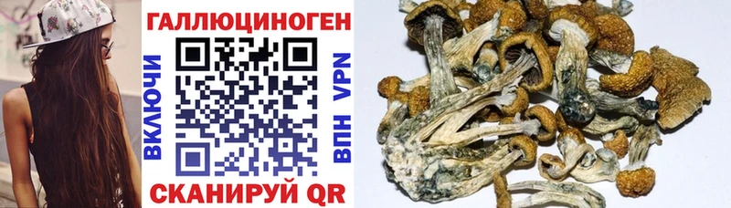 Галлюциногенные грибы Cubensis  blacksprut ССЫЛКА  Реж 
