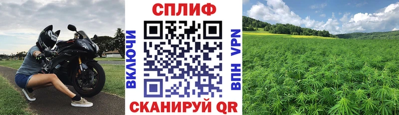 купить наркотики цена  Реж  МАРИХУАНА AK-47 